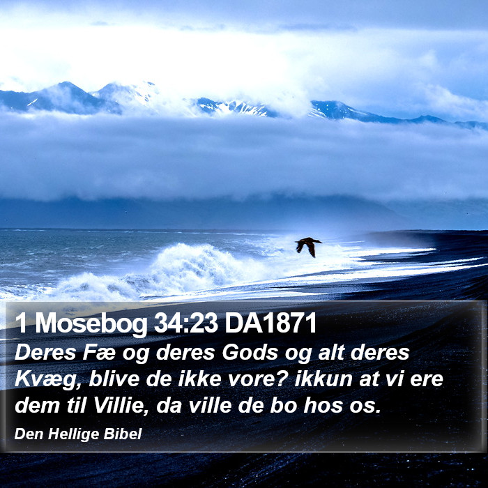 1 Mosebog 34:23 DA1871 Bible Study