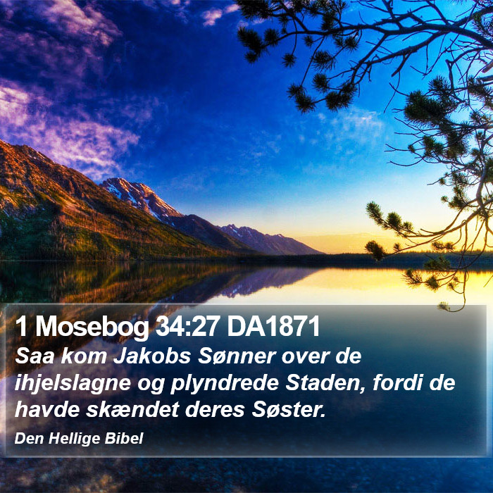 1 Mosebog 34:27 DA1871 Bible Study