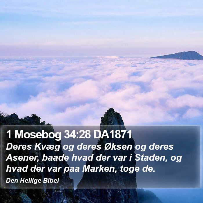 1 Mosebog 34:28 DA1871 Bible Study