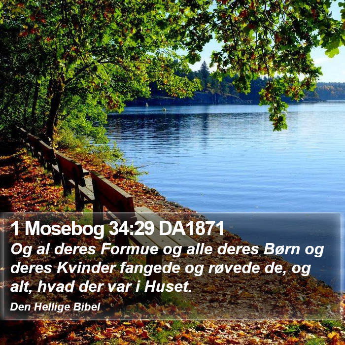 1 Mosebog 34:29 DA1871 Bible Study