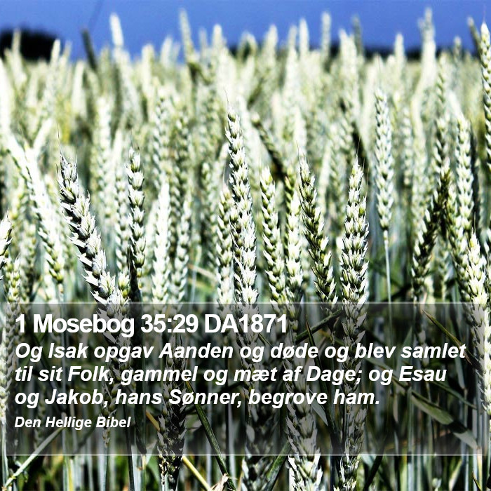 1 Mosebog 35:29 DA1871 Bible Study