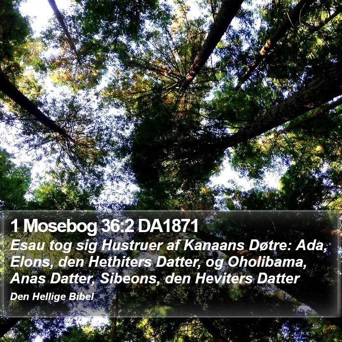 1 Mosebog 36:2 DA1871 Bible Study