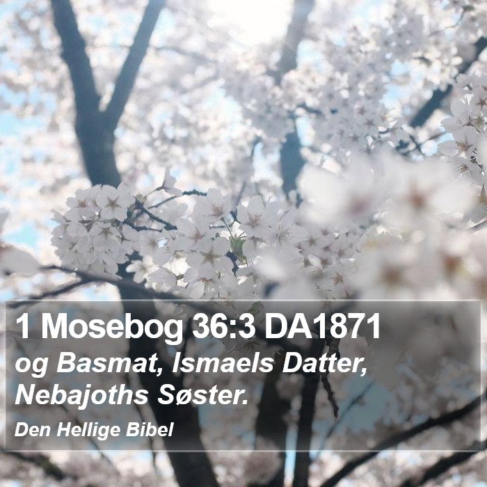 1 Mosebog 36:3 DA1871 Bible Study