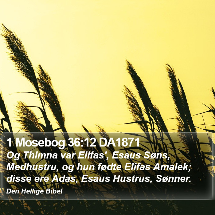 1 Mosebog 36:12 DA1871 Bible Study