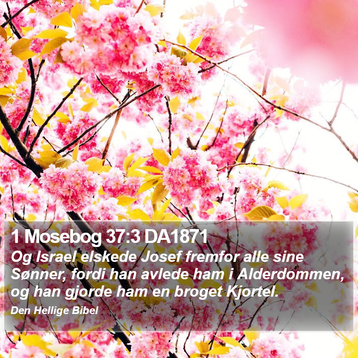 1 Mosebog 37:3 DA1871 Bible Study