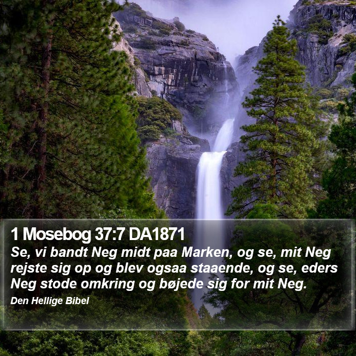 1 Mosebog 37:7 DA1871 Bible Study