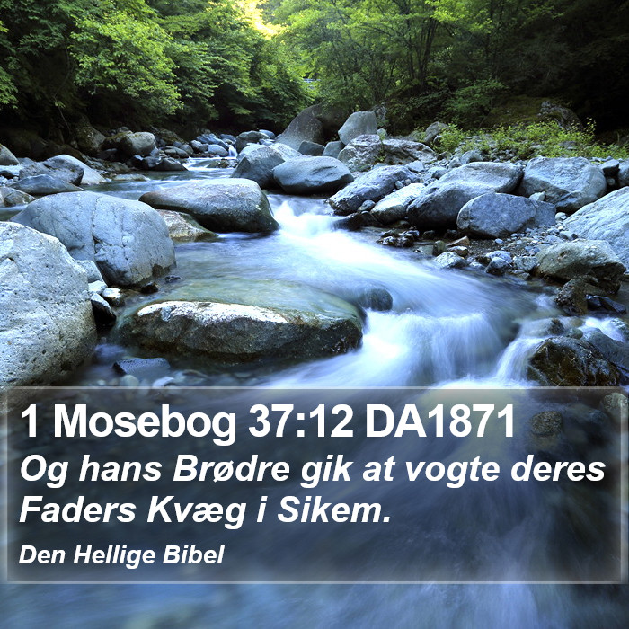 1 Mosebog 37:12 DA1871 Bible Study