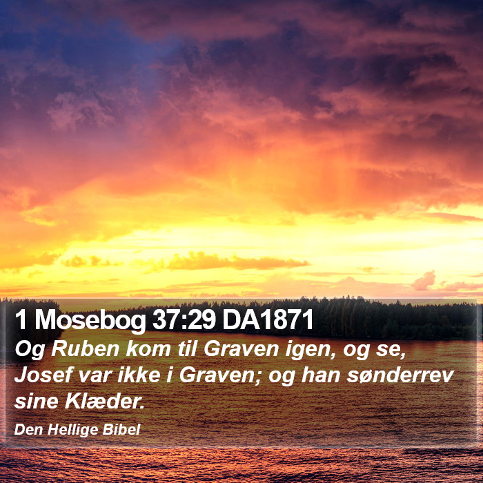 1 Mosebog 37:29 DA1871 Bible Study