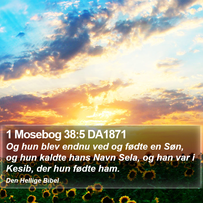 1 Mosebog 38:5 DA1871 Bible Study