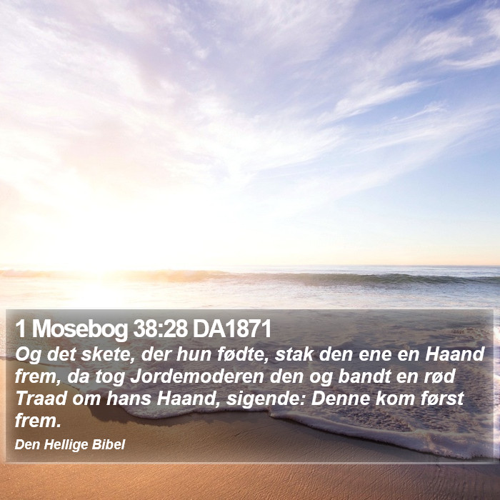 1 Mosebog 38:28 DA1871 Bible Study