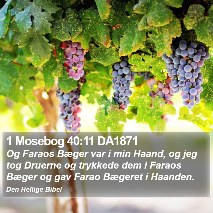 1 Mosebog 40:11 DA1871 Bible Study