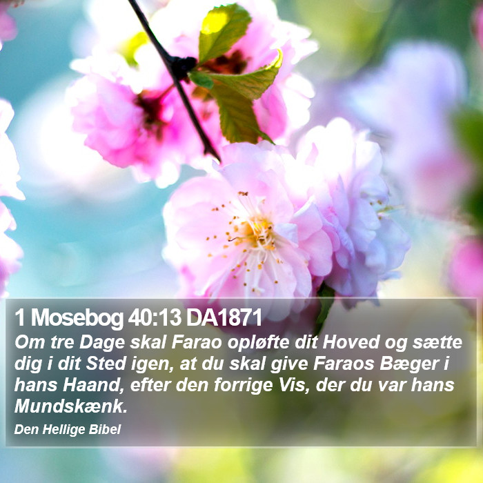 1 Mosebog 40:13 DA1871 Bible Study