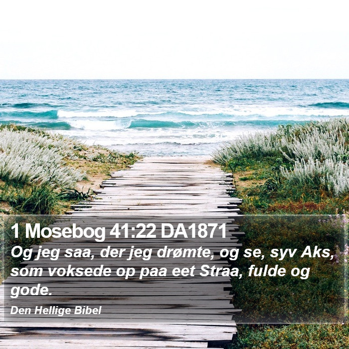 1 Mosebog 41:22 DA1871 Bible Study