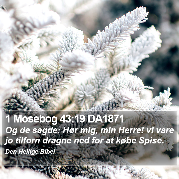 1 Mosebog 43:19 DA1871 Bible Study
