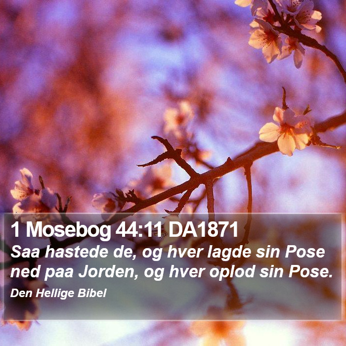 1 Mosebog 44:11 DA1871 Bible Study