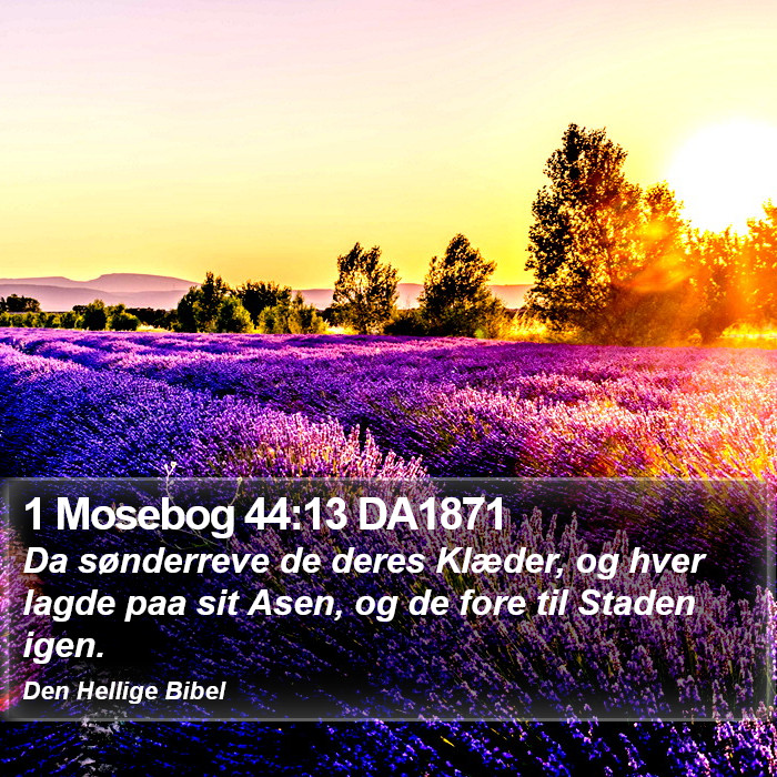 1 Mosebog 44:13 DA1871 Bible Study