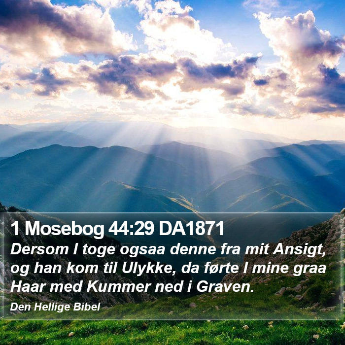 1 Mosebog 44:29 DA1871 Bible Study