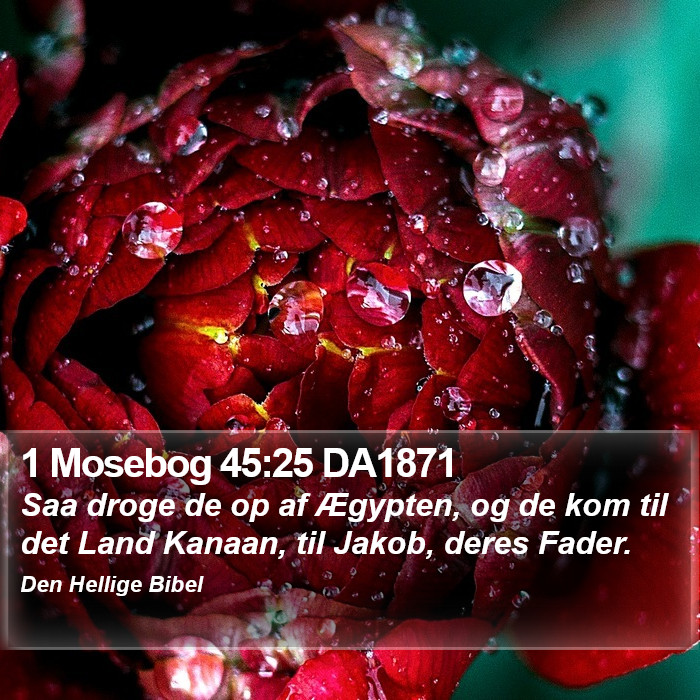 1 Mosebog 45:25 DA1871 Bible Study