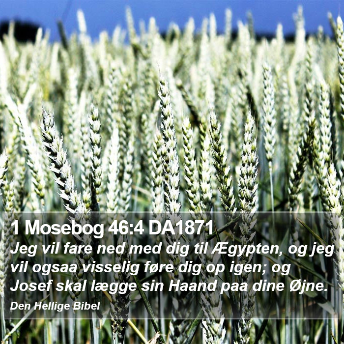 1 Mosebog 46:4 DA1871 Bible Study