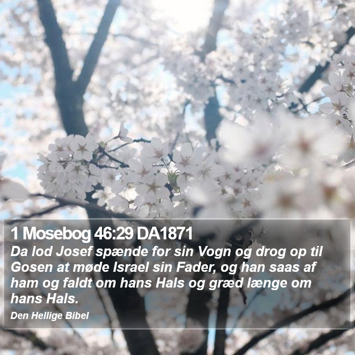 1 Mosebog 46:29 DA1871 Bible Study