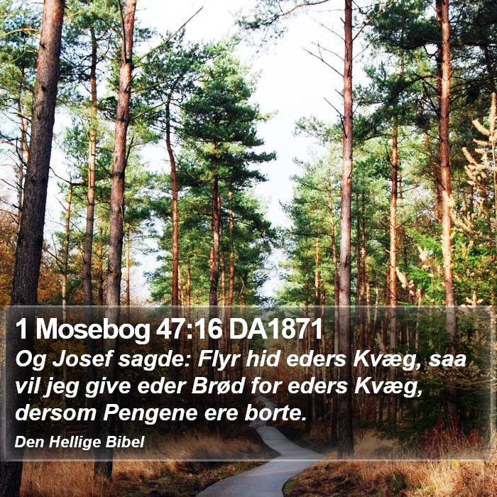 1 Mosebog 47:16 DA1871 Bible Study