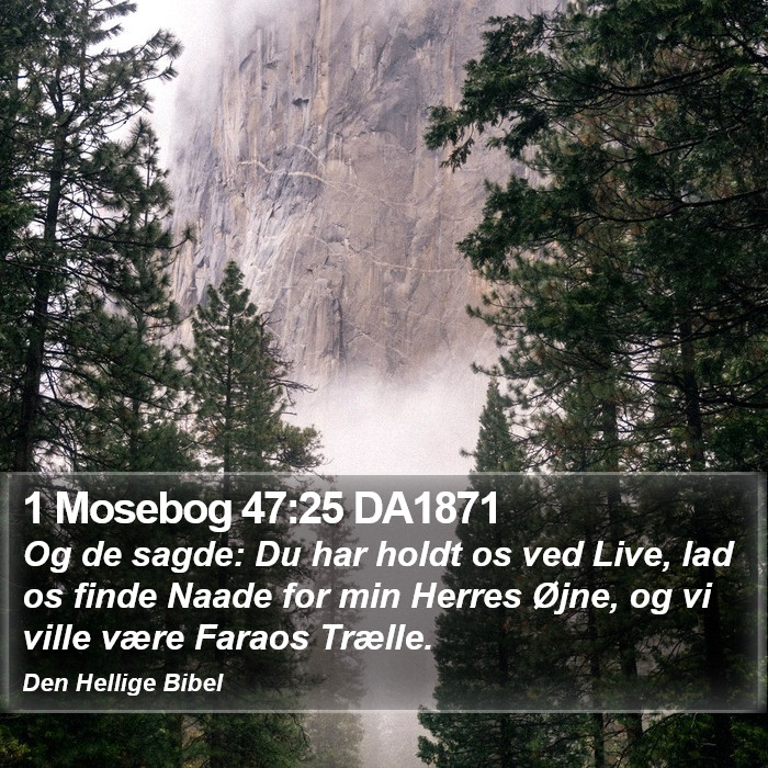 1 Mosebog 47:25 DA1871 Bible Study