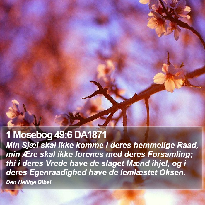 1 Mosebog 49:6 DA1871 Bible Study