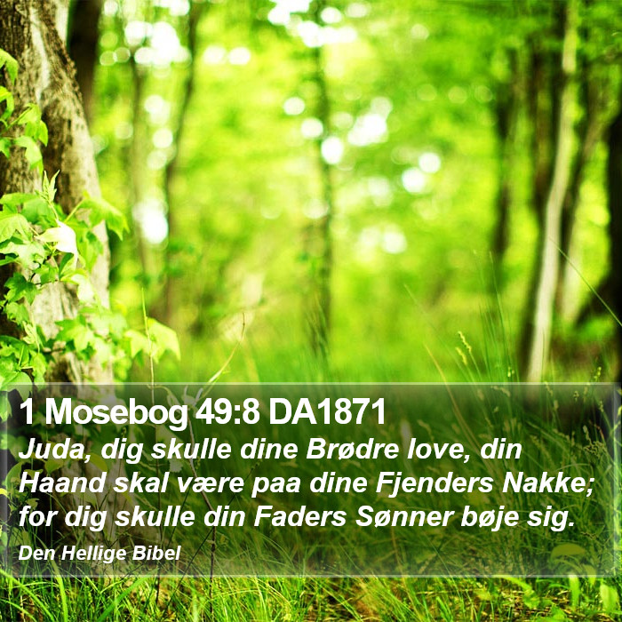 1 Mosebog 49:8 DA1871 Bible Study