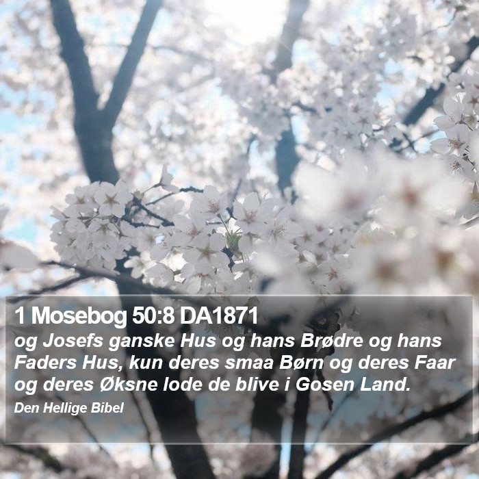 1 Mosebog 50:8 DA1871 Bible Study