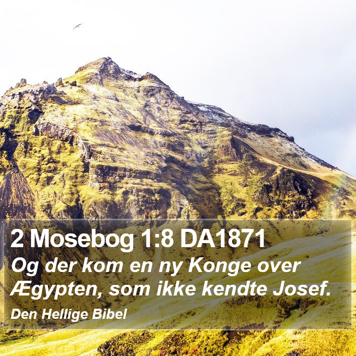 2 Mosebog 1:8 DA1871 Bible Study