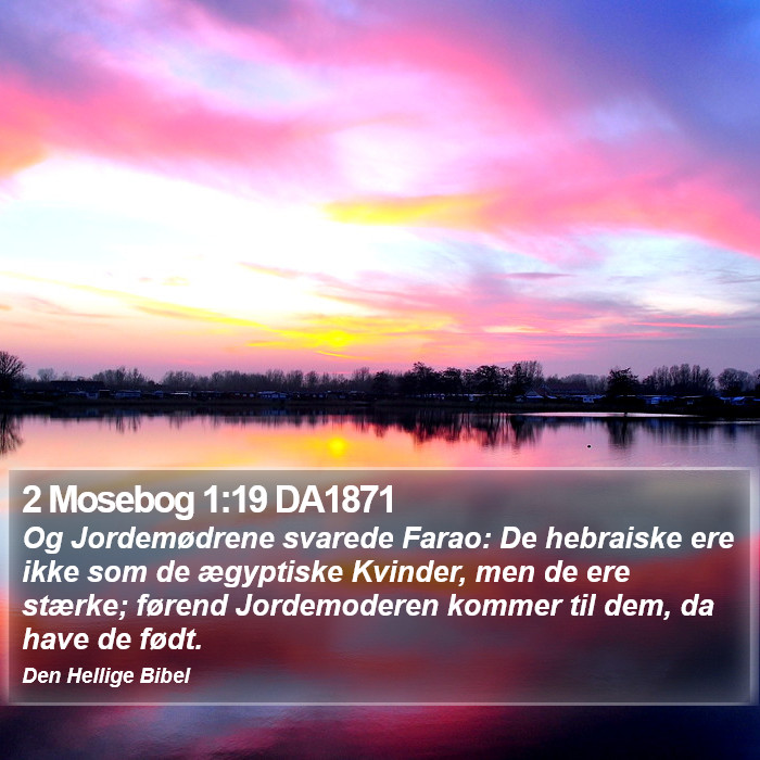 2 Mosebog 1:19 DA1871 Bible Study