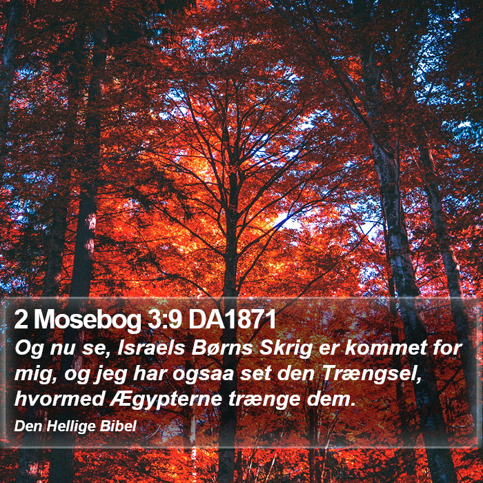 2 Mosebog 3:9 DA1871 Bible Study