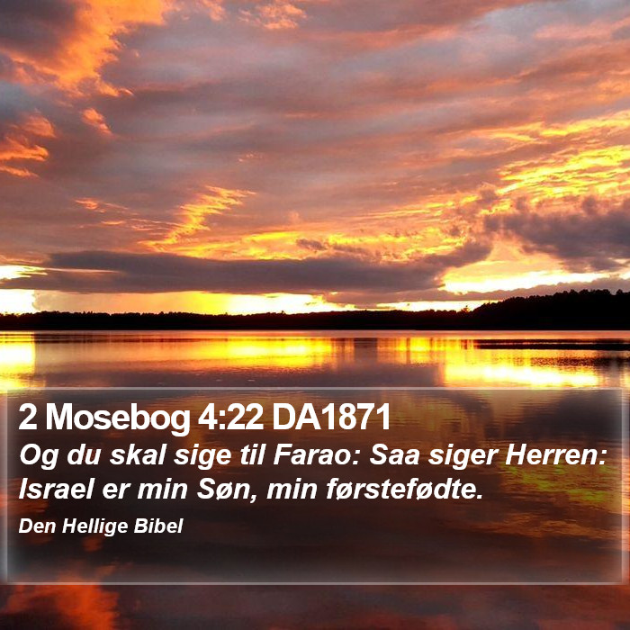 2 Mosebog 4:22 DA1871 Bible Study