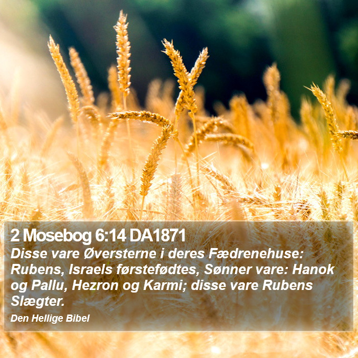 2 Mosebog 6:14 DA1871 Bible Study