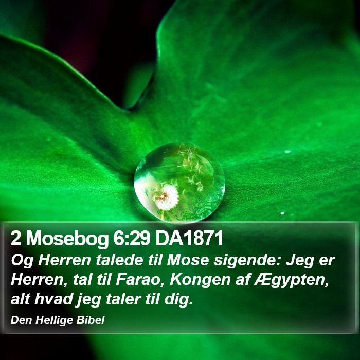 2 Mosebog 6:29 DA1871 Bible Study