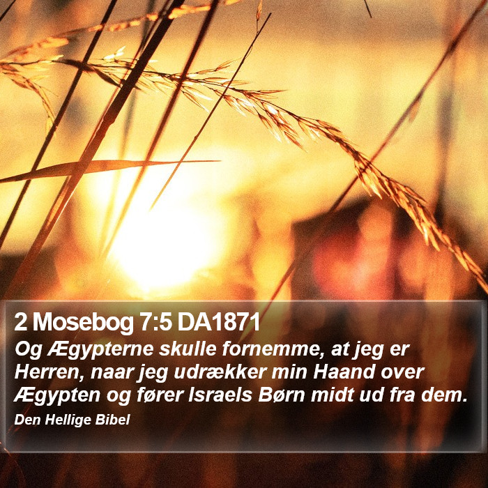 2 Mosebog 7:5 DA1871 Bible Study