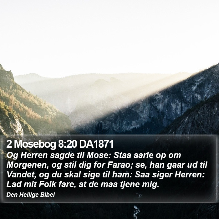 2 Mosebog 8:20 DA1871 Bible Study