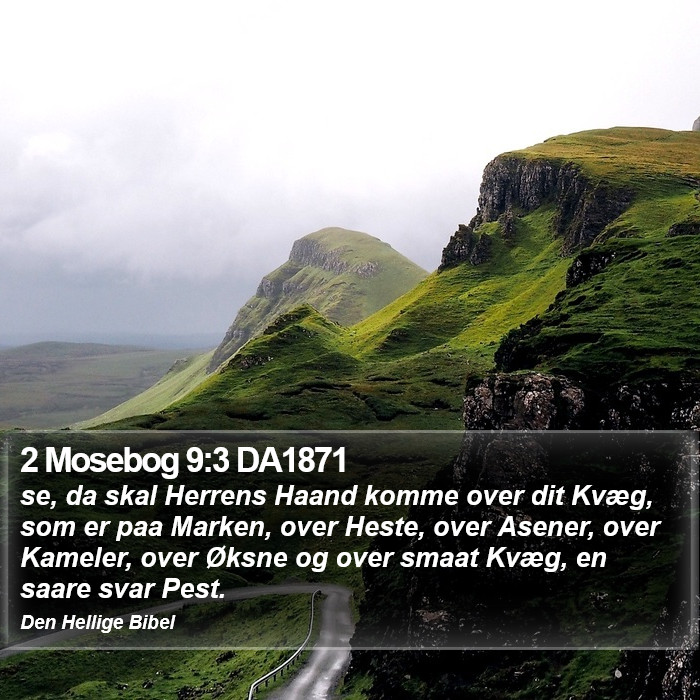 2 Mosebog 9:3 DA1871 Bible Study