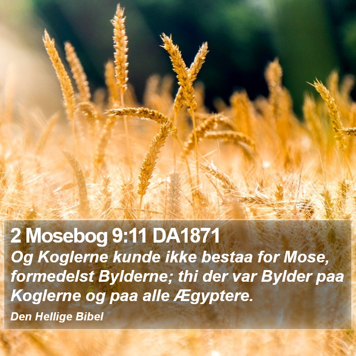 2 Mosebog 9:11 DA1871 Bible Study