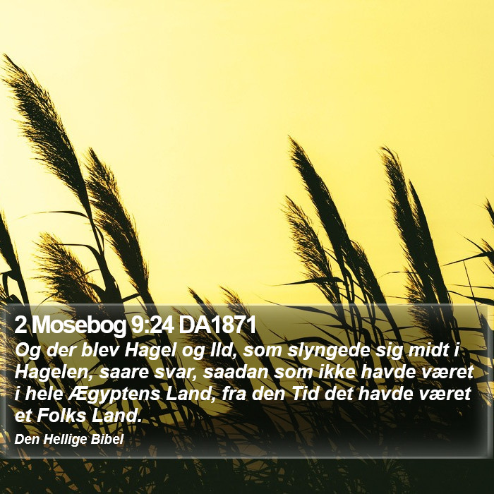 2 Mosebog 9:24 DA1871 Bible Study