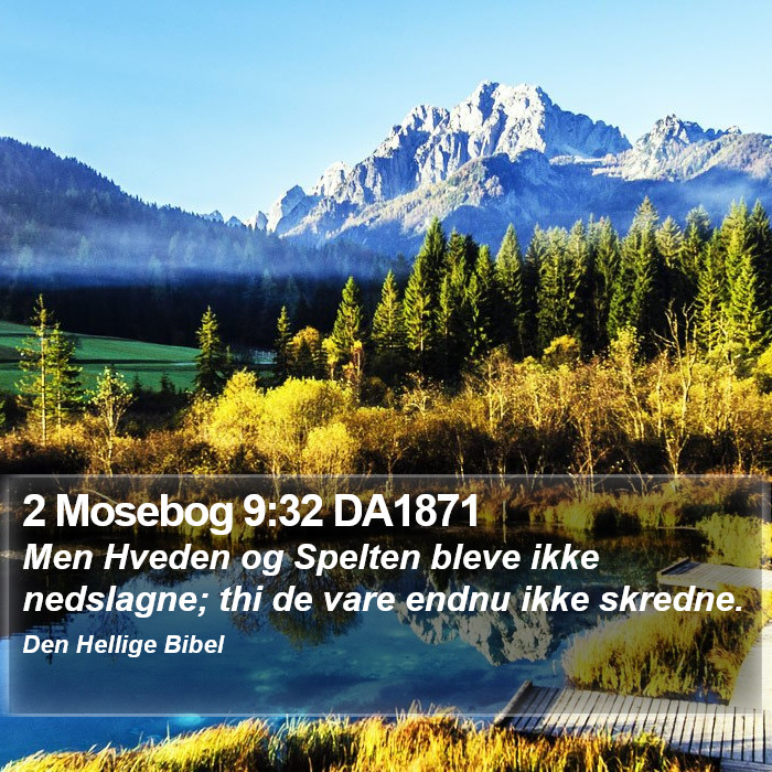 2 Mosebog 9:32 DA1871 Bible Study