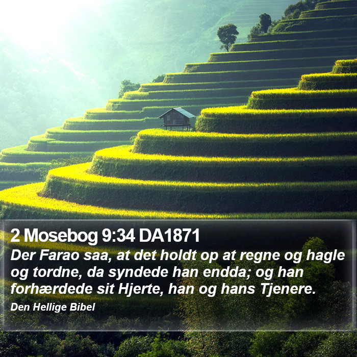 2 Mosebog 9:34 DA1871 Bible Study