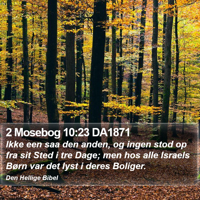 2 Mosebog 10:23 DA1871 Bible Study