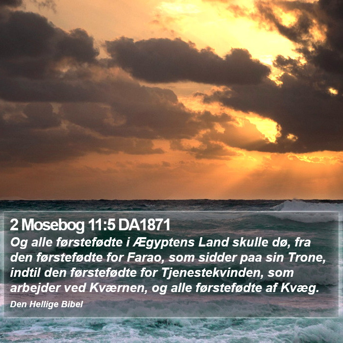 2 Mosebog 11:5 DA1871 Bible Study
