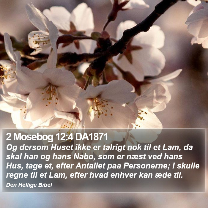 2 Mosebog 12:4 DA1871 Bible Study