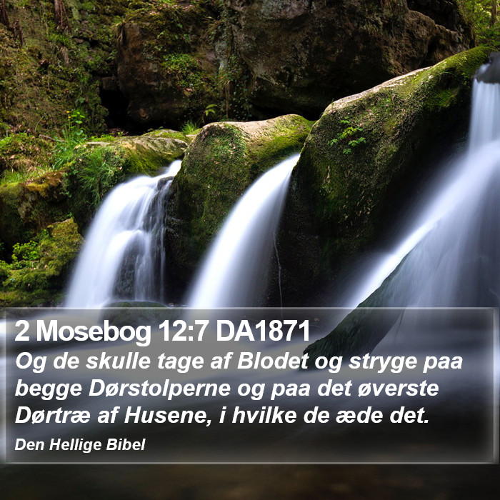 2 Mosebog 12:7 DA1871 Bible Study