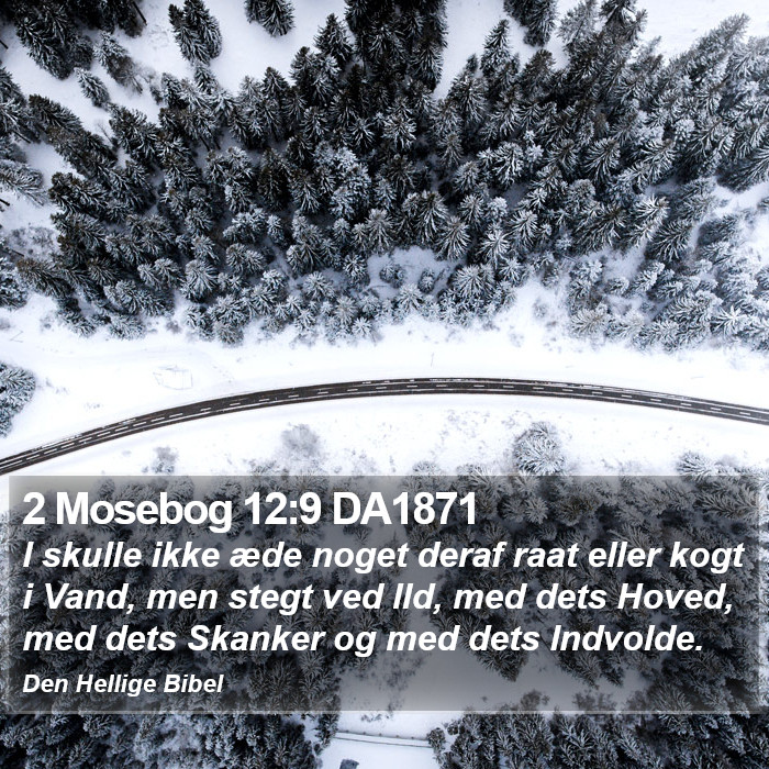 2 Mosebog 12:9 DA1871 Bible Study