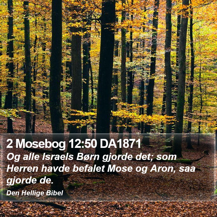 2 Mosebog 12:50 DA1871 Bible Study