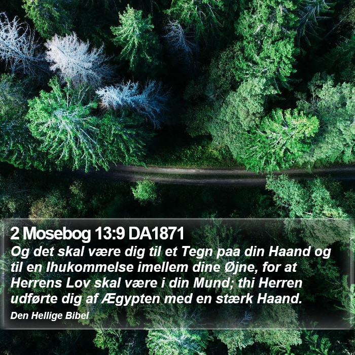 2 Mosebog 13:9 DA1871 Bible Study