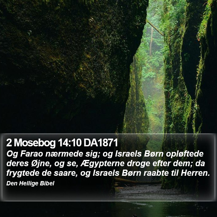 2 Mosebog 14:10 DA1871 Bible Study